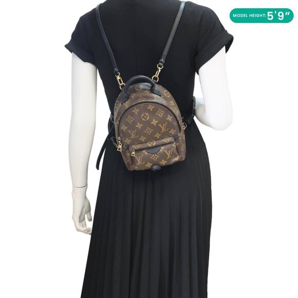Louis Vuitton Palm Spring Mini Monogram Canvas Backpack Brown - Picture 2 of 15